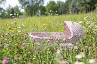 婴儿Bassinet，Bassinet，粉红色，野花，婴儿，儿童