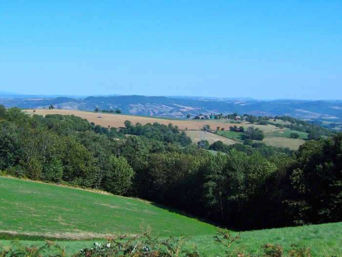 景观，法国，天空，森林，树木，风景名胜，Vista