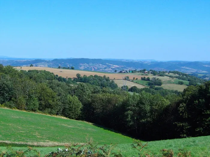 景观，法国，天空，森林，树木，风景名胜，Vista