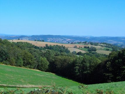 景观，法国，天空，森林，树木，风景名胜，Vista