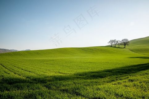 小山,场,天空,绿色,蓝色,春天,日落,自然 小山,场,天空,绿色,蓝色,春天,日落,自然