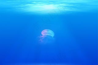 海el，水下，海洋，海洋