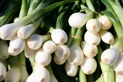 洋葱束,绿色,白色,蔬菜 洋葱束,绿色,白色,蔬菜