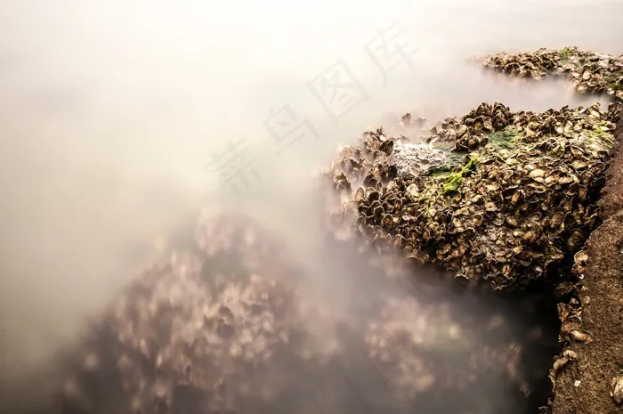 贻贝，长时间曝光，岩石，石头，海岸，岸