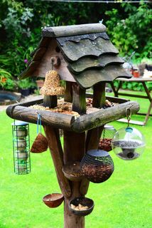 鸟屋，鸟桌，喂食站，鸟食