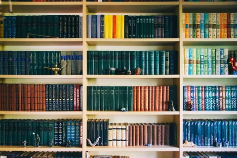 书架,图书室,书柜门,展示架,租书店,图书馆书架上的书