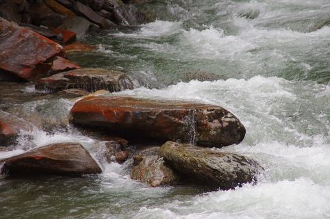 河，急流，提契诺州，水，自然