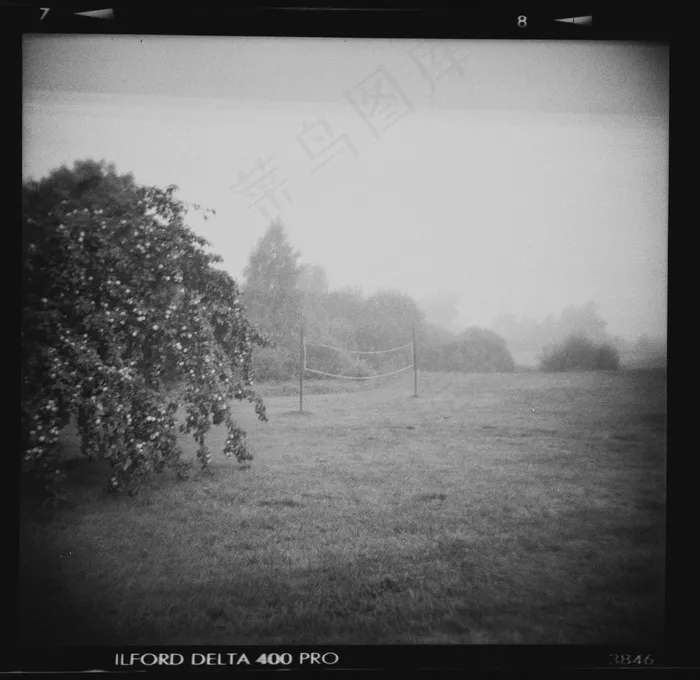 屏幕截图,雨雾,树,平板手机,湖泊,有雾的风景