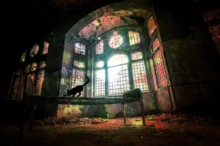 废墟，窗口，衰变，离开，建筑，残旧