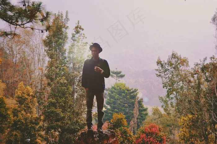男子，森林，人，男性，在户外，秋，秋天