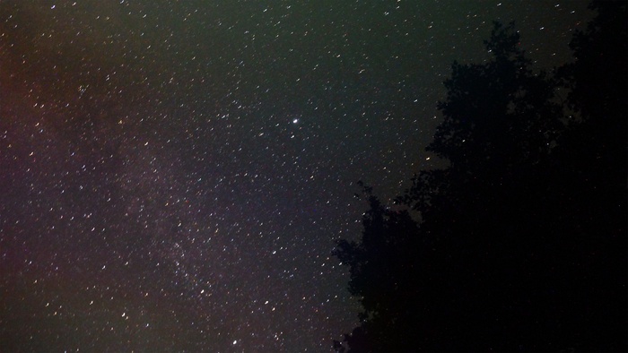 星星，银河，天空，夜，黑暗，晚上，树木