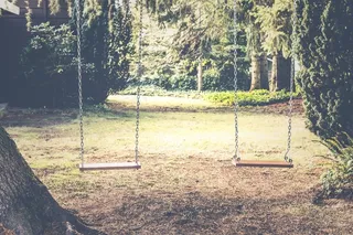 秋千，后院，树木，草