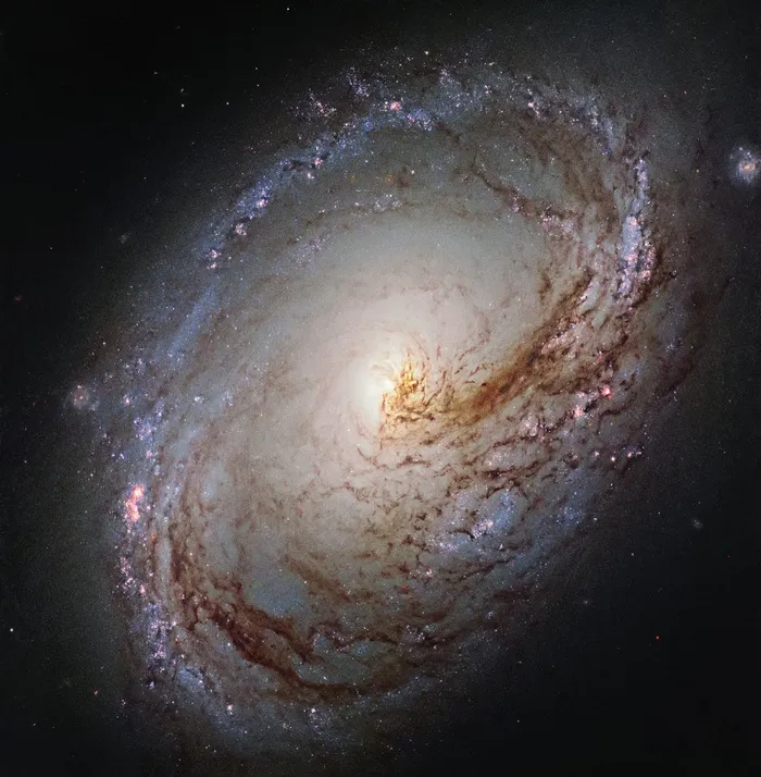 螺旋星系，中级，双门，Ngc 3368