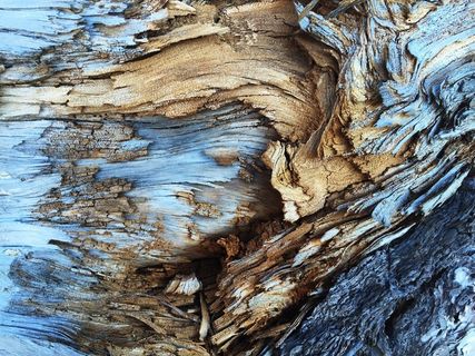 旧，木，干，烂，图案，材料，宏