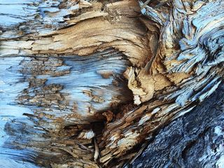 旧，木，干，烂，图案，材料，宏