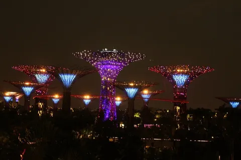 夜景,新加坡,花园湾,巨树,亚洲 夜景,新加坡,花园湾,巨树,亚洲