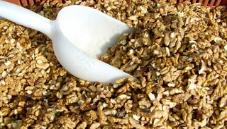 仁，硬壳水果，核桃收获