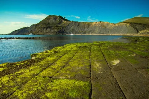 湾，查普曼游泳池，大自然，美国