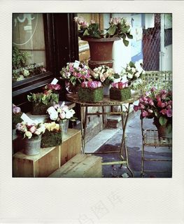 花束,屏幕截图,餐桌,花卉,卡通动漫人物