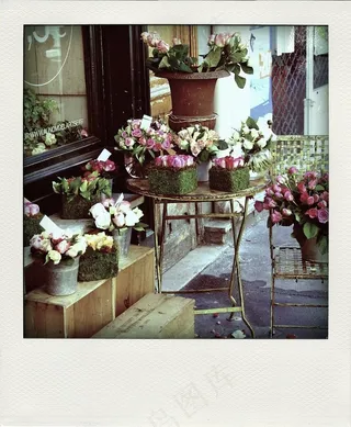 花束,屏幕截图,餐桌,花卉,卡通动漫人物