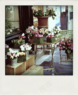 花束,屏幕截图,餐桌,花卉,卡通动漫人物 花束,屏幕截图,餐桌,花卉,卡通动漫人物