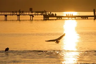 假期，日落，海，假期，海滩，太阳，夏天