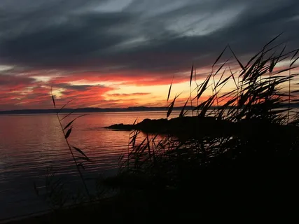 日落，河，晚上，几点思考，颜色，光