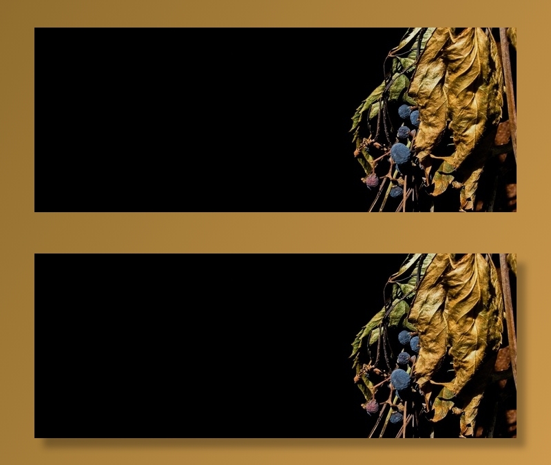 秋天，秋天，季节，报价背景，十月