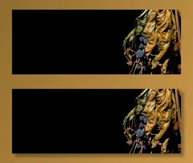 秋天，秋天，季节，报价背景，十月