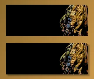 秋天，秋天，季节，报价背景，十月