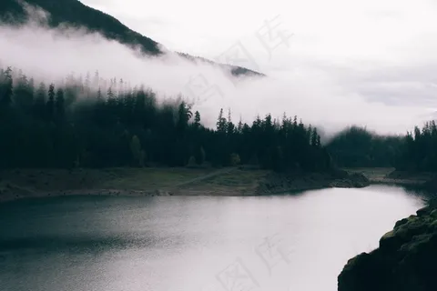 山,雾,有雾,树木,风景,意见,谷 山,雾,有雾,树木,风景,意见,谷