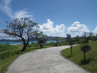 冲绳，海，夏天，径，阳光灿烂的日子，公共假期