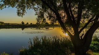 库尔斯克，早晨，秋天，池塘