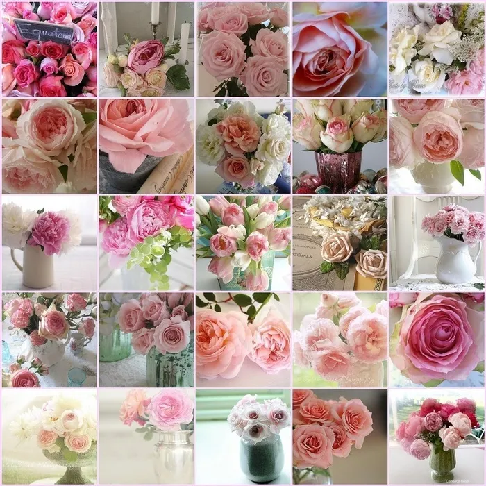 玫瑰图案,花背景,花朵图案,粉色玫瑰,花束,花卉