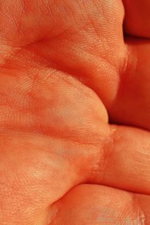 手，皮肤，人，身体