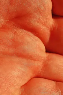 手，皮肤，人，身体