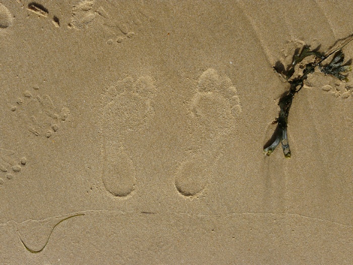 海滩，沙滩，脚，沙滩