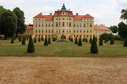 宫殿，罗加林，花园，树，夏天，叶子