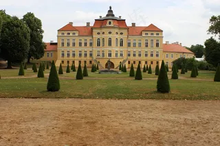 宫殿，罗加林，花园，树，夏天，叶子