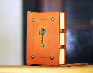 书，皮肤，知识，关键