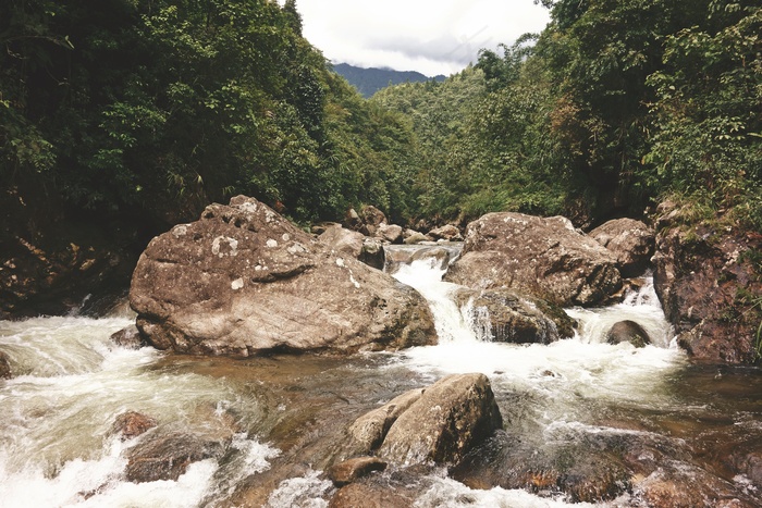 野，江，水，性质，流，级联，急流