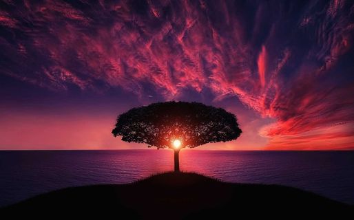 indian healing and meditation music,天空,卷积云,霞光,火山,树在海边日落时的剪影