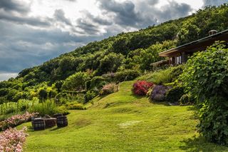 花园，植物，自然，园艺，植物群，巴拉顿湖