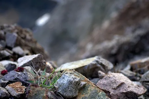 岩石,岩石,植物,岩滑,悬崖,小山,山 岩石,岩石,植物,岩滑,悬崖,小山,山