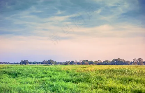 景观,草地,草,绿色,场,云,天空 景观,草地,草,绿色,场,云,天空