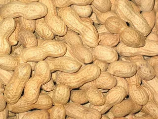 花生，圣诞节，坚果，背景，来临