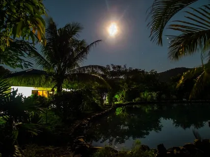 满月之夜,家,池塘,夜间照片 满月之夜,家,池塘,夜间照片