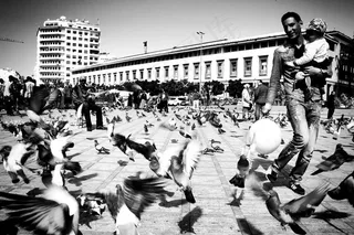 莫里斯舞者,建筑,人群,钢笔画,广播体操,鸽子的土地＃卡萨布兰卡＃摩洛哥