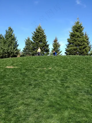 儿童，播放，乐趣，快乐，小山，草