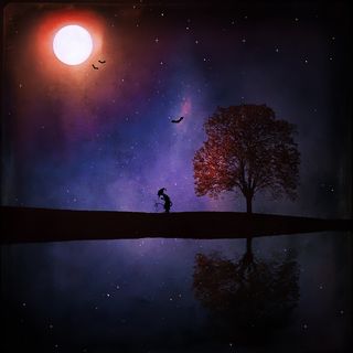 风景，夜晚，黑暗，神秘，魔术师，蝙蝠，湖